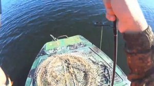 Озеро Светлое, Тюменская область