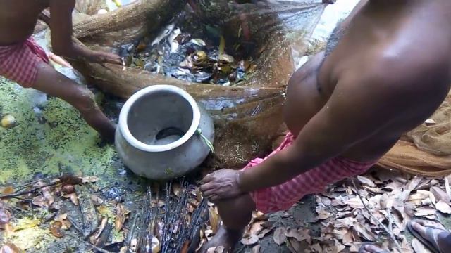 Best net fishing at Bakhra,24 pgs (s)W.B смотреть онлайн