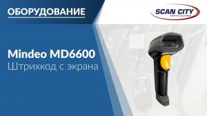 Mindeo MD6600: Экран смартфона