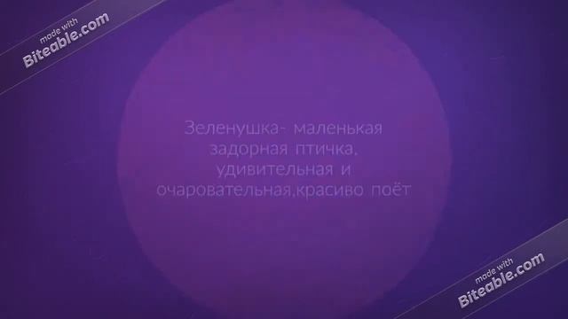 Животный мир на букву З
