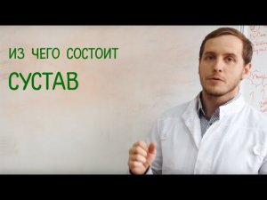 Из чего состоит сустав. Интересно для спортсменов.