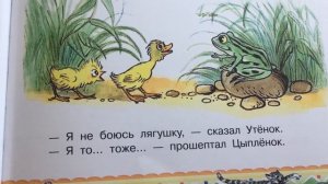 Книжка Цыплёнок и Утёнок