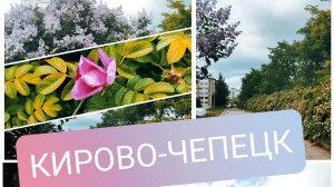 ИЮНЬ 2023 Чепецкие зарисовки #кировочепецк (1)