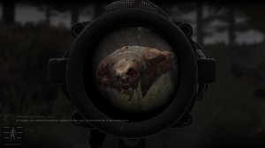 Stalker Anomaly Redux прохождение - Из огня да в полымя