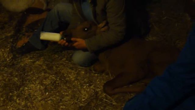 После четырех дней без молока смотреть онлайн