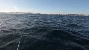 ТЕРИБЕРКА. РЫБАЛКА в БАРЕНЦЕВОМ МОРЕ. "TERIBERKA. FISHING in the BARENTS SEA."