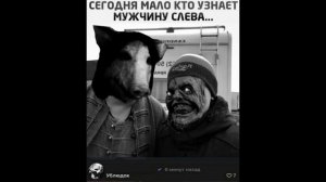 Свинтус придёт 2 и его друзья
