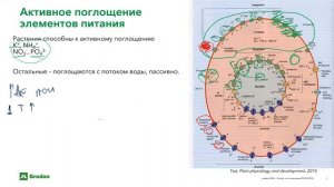 Минеральное питание растений. Часть 1.1