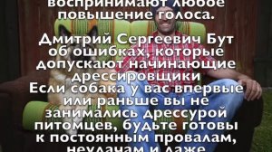 Бут Дмитрий Сергеевич о плюсах домашнего обучения собак