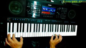 Неизбежность Сергей Кузнецов covеr Yamaha PSR-SX900