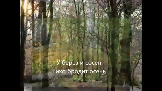 У берез и сосен текст песни. У берез и сосен тихо бродит осень.