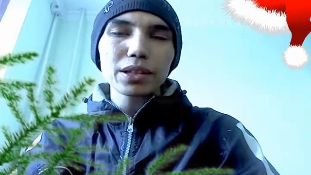 IP Life -- Присылайте поздравления для нового года смотреть онлайн