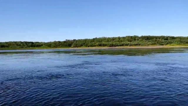 Колесниковы// Я поражена увиденным! // Обзор видео// смотреть онлайн