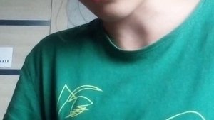 "на твиче" кавер (читай описание)