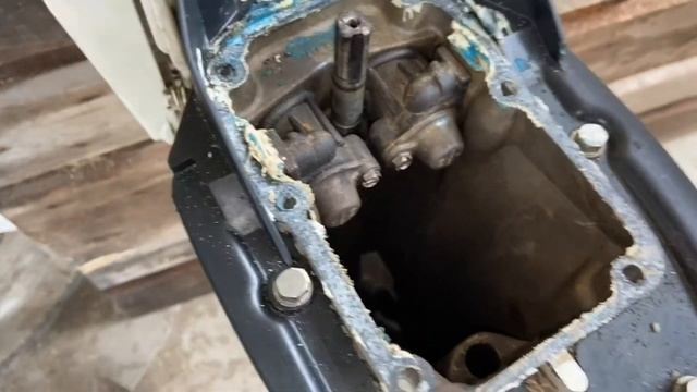 Johnson 9.9 Полный разбор смотреть онлайн