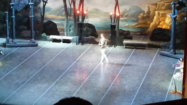 Денис Родькин 29 октября 2019, вариация Зигфрида смотреть онлайн