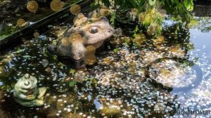 Мощные аффирмации на избавление от долгов и кредитов.