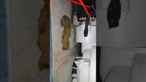 Посудомоечная машина bosch часть 1  skt2002eu Не моетСерия skt решено