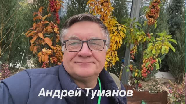 Андрей туманов садовод фото Андрей туманов садовод фото