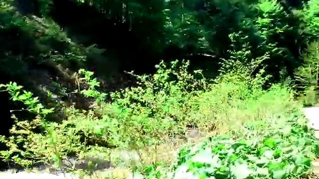 По дороге на Говерлу смотреть онлайн