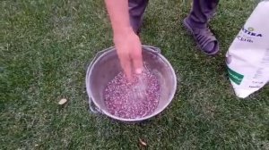 Чем удобрить газон на зиму, личный опыт