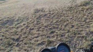 СЪЕЗДИЛ НА РЕЧКУ И ПОЙМАЛ ЩУКУ / РЫБАЛКА НА РЕЧКЕ НА ЩУКУ / ЩУКА ЛЕТОМ