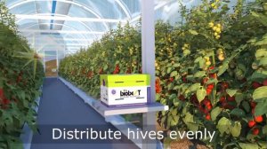 Как использовать шмелиные ульи компании Biobest?