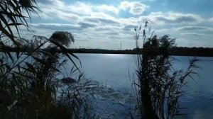 Харцызск, ДНР, пруд "Ржавый". Природа Донбасса. Октябрь 2021. Khartsyzsk. Donbass. Lake. Nature.
