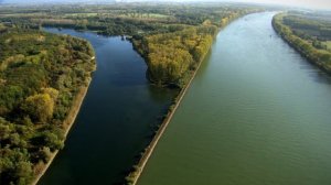 Wild River Rhine | Free Documentary Nature