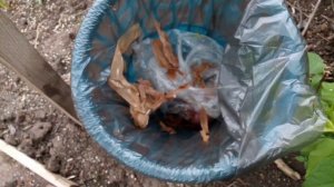 РАЗБОР МЕДНЫХ КАТУШЕК! СКОЛЬКО В НИХ МЕДИ?!