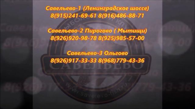 Мнение рыбака о рыбалке по открытой воде в Савельево-2 февраль 2017г. смотреть онлайн