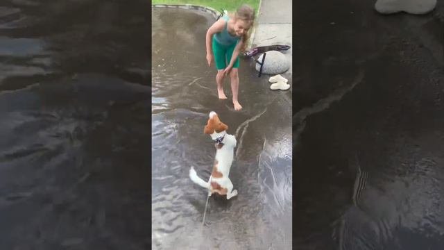 Когда постоянно 🌦️