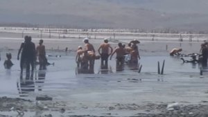 Грязевые озёра Керченского полуострова