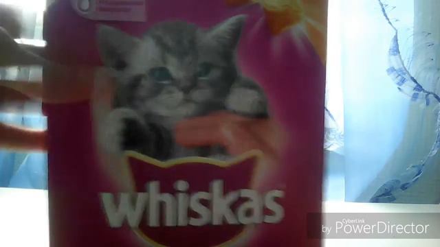 Что есть у моей кошки. смотреть онлайн