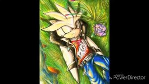 Сильвер проти шедул