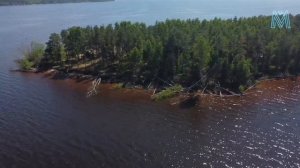 Копринский остров в Рыбинском водохранилище
