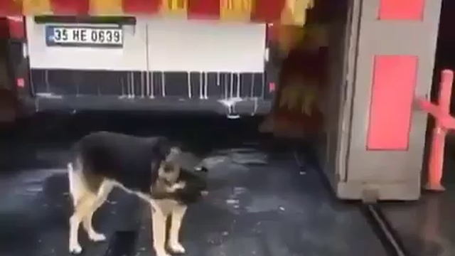 Бесплатный массаж