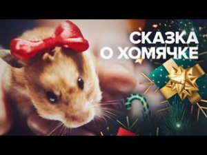 Сказка о хомячке или Счастливого «русофобского» Рождества