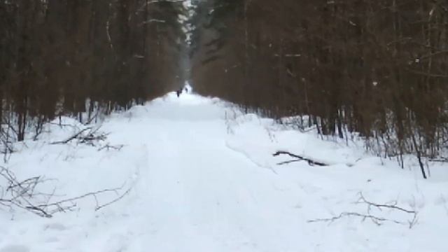 Лыткаринская «платка». Волкушкинский карьер зимой - Лыткарино