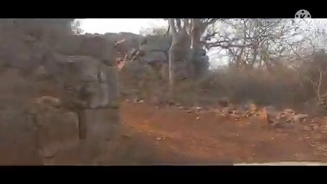 397- The Breathtaking View Of Greenery In The Valley-As Seen From Prataparudra Kot Near Mannanur смотреть онлайн