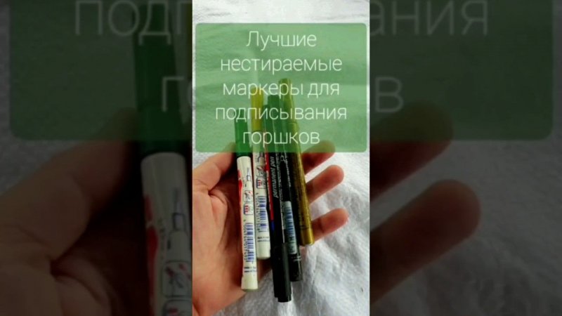 Мои ЛУЧШИЕ нестираемые маркеры для ПОДПИСЫВАНИЯ РАСТЕНИЙ