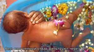 Ромашка для купания новорожденных — как приготовить отвар в пакетиках