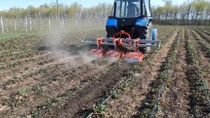 Почвенная фреза для междурядий Breviglieri