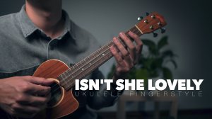 Isn't She Lovely-Stevie Wonder инстурментальный кавер на укулеле