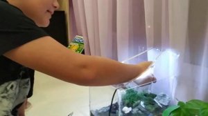 террариум своими руками для божьей коровки