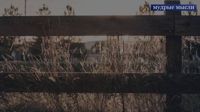 Притча о гвоздях. Притчи, которые должен знать каждый! смотреть онлайн