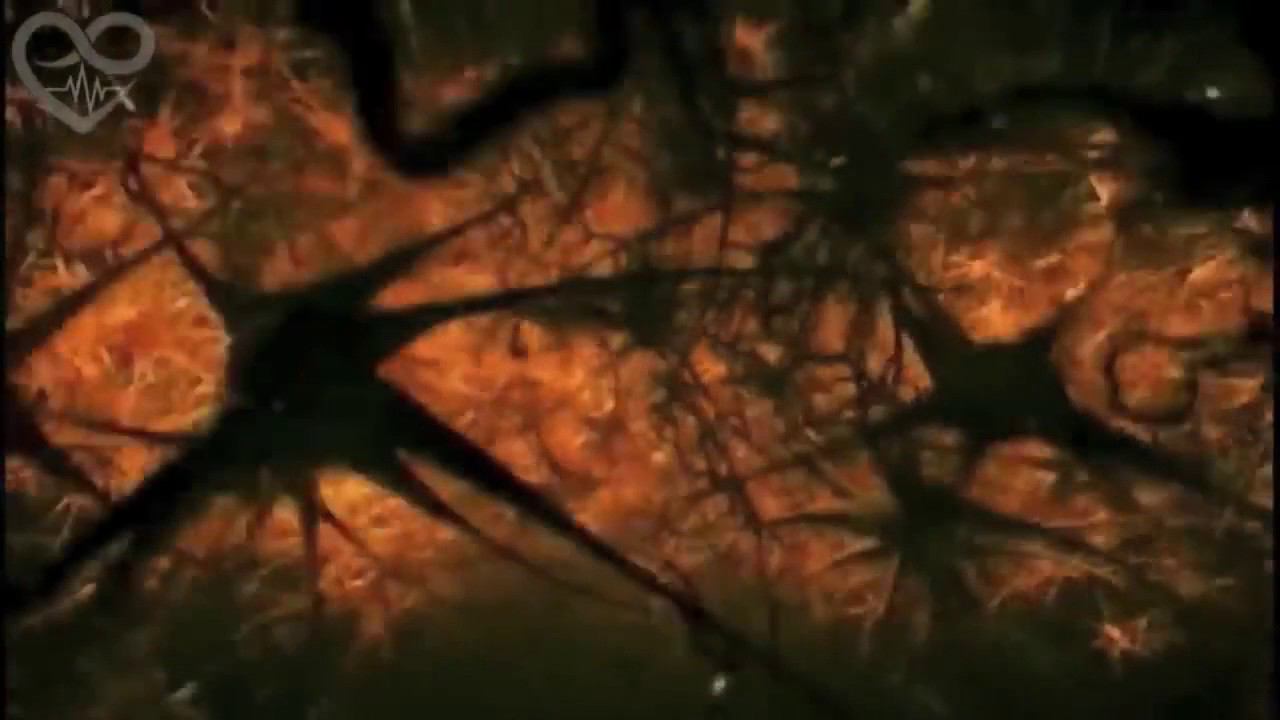 9 месяцев беременности за 4 минуты смотреть онлайн