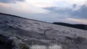 Амурская область. Лето. Июнь.