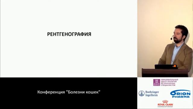 Болезни кошек часть 1 смотреть онлайн