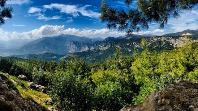 Звуки леса .Звук природы.Спокойная музыка для сна .Sounds of the forest.Sounds of nature.Sleep musi